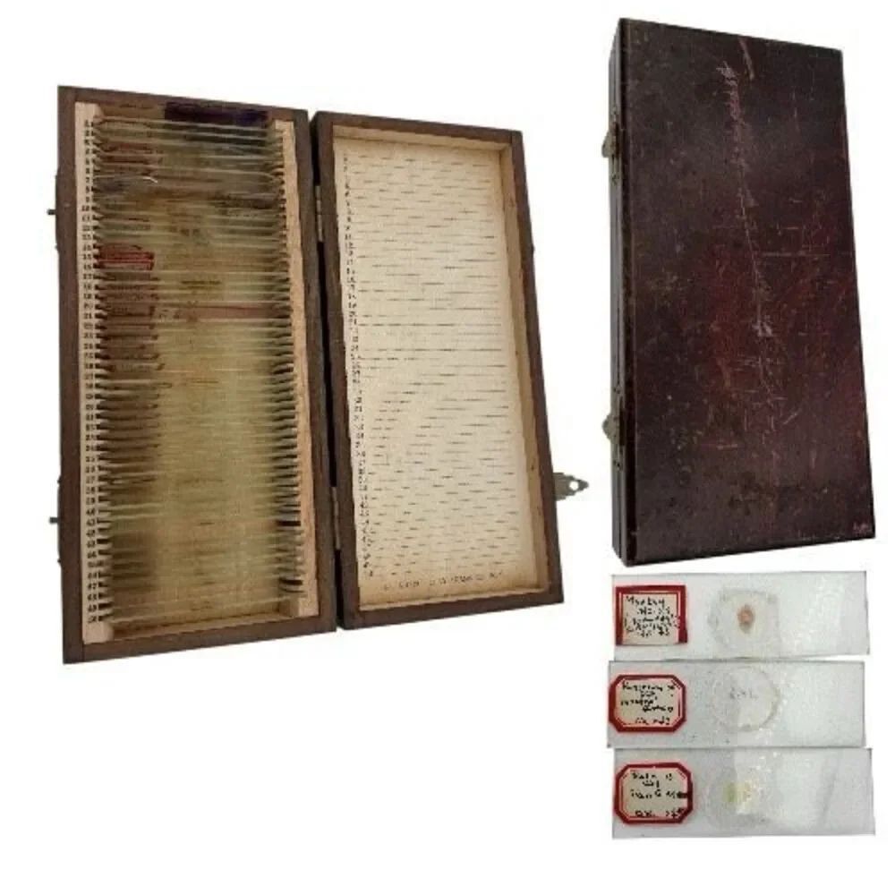 Vintage Microscope Slide Collection Animal Anatomy & Veterinary Teaching Slides